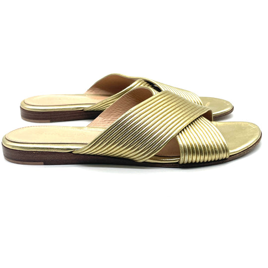 Sandalias Gianvito Rossi T.35
