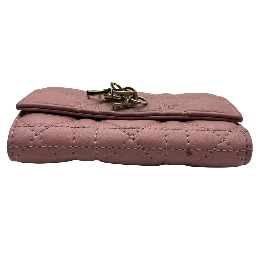 Cartera Dior My Dior Glycine