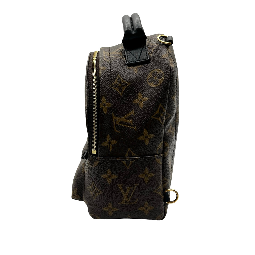 Mochila Louis Vuitton Palm Springs Mini