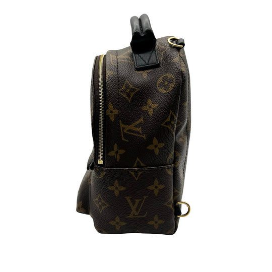 Mochila Louis Vuitton Palm Springs Mini