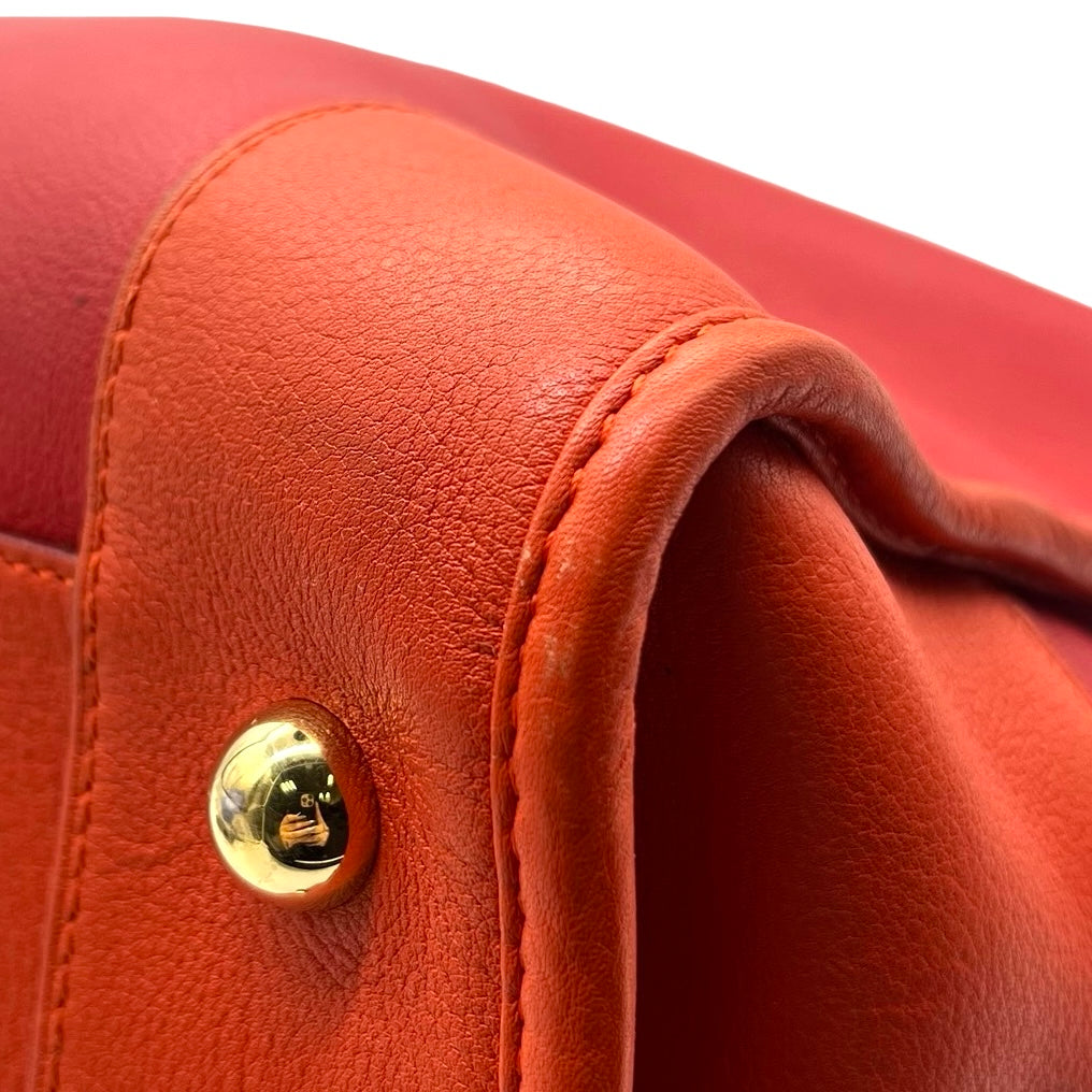 Bolsa Loewe Amazona 36