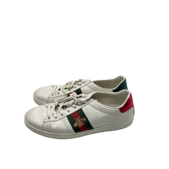 Tenis Gucci Ace T.40