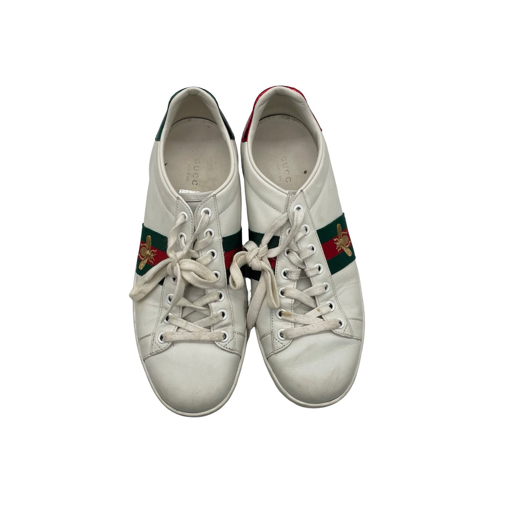 Tenis Gucci Ace T.40