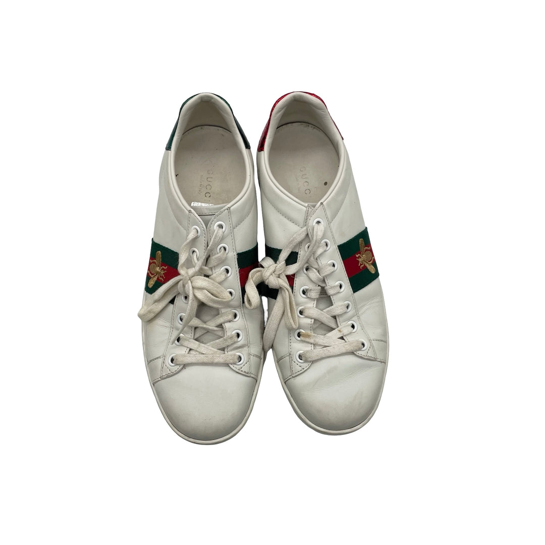 Tenis Gucci Ace T.40