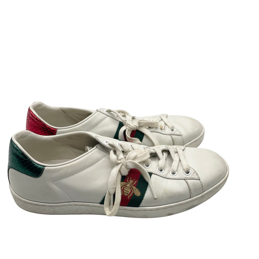 Tenis Gucci Ace T.40