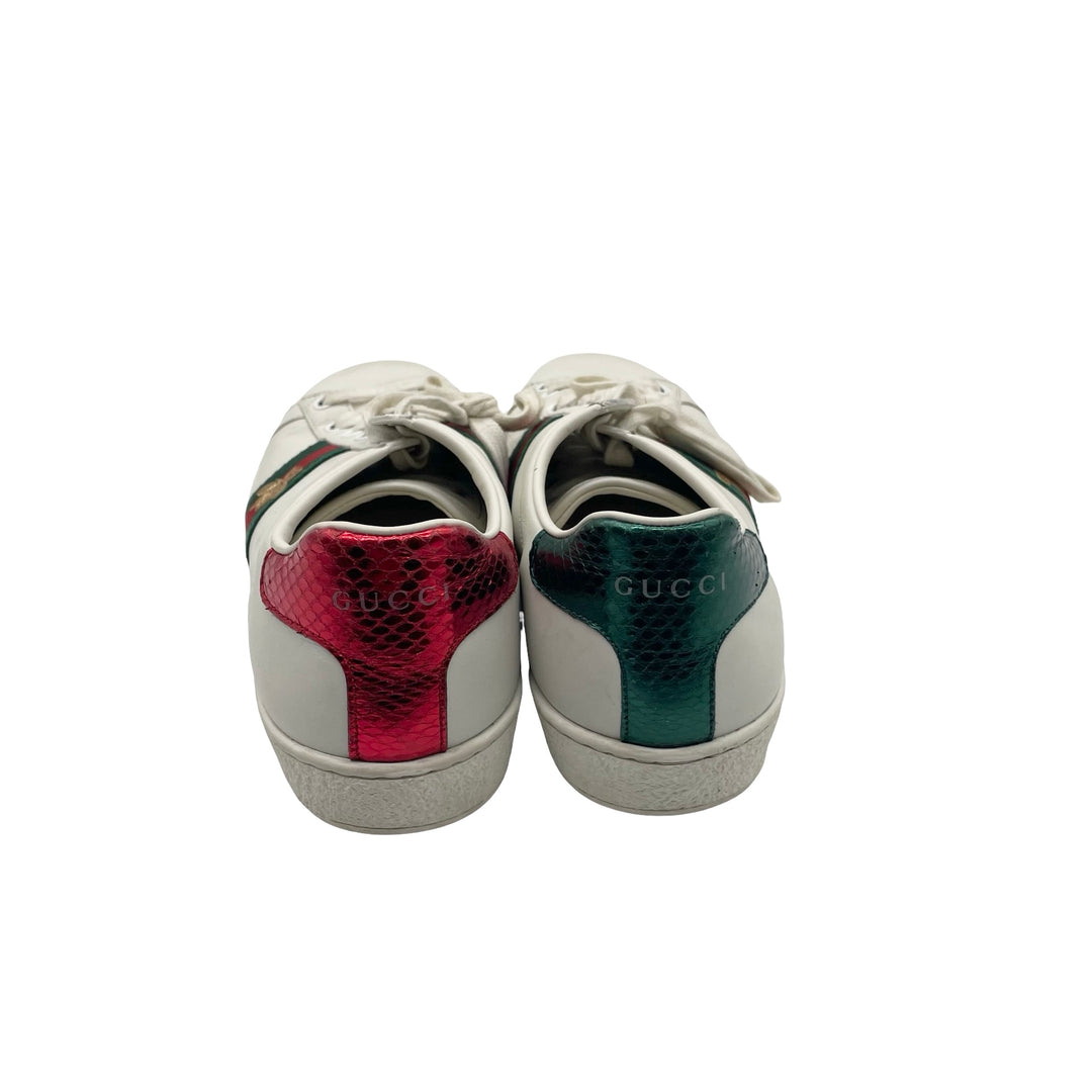 Tenis Gucci Ace T.40